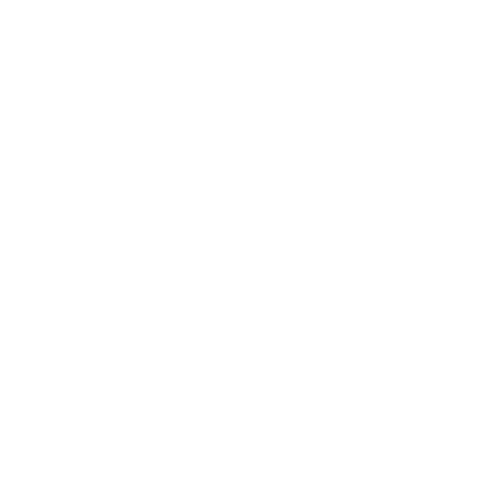 DEVBEEF LLC